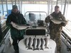 (04/07/2018) - Nice Striped Bass